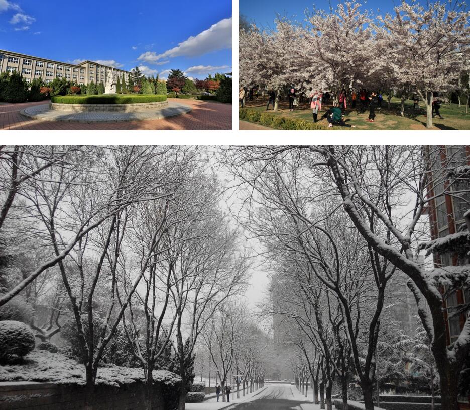 1606378404186001.jpg 20.jpg